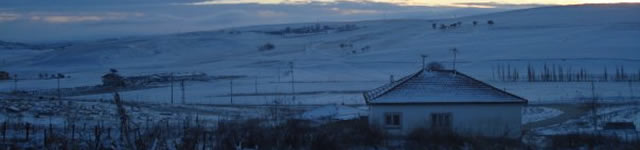 Rotating Header Image